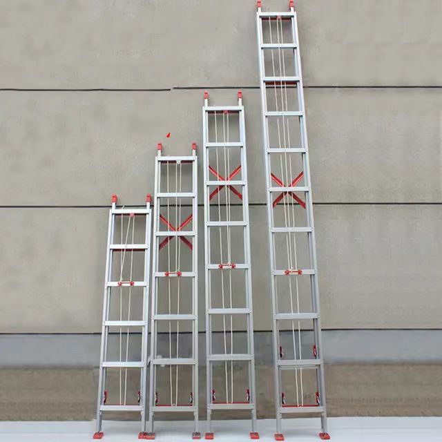 Lifting and lowering ladder